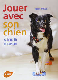 Mélangez l'eau et le sel jusqu'à l'obtention d'une solution homogène. Amazon Fr Jouer Avec Son Chien Dans La Maison Jakob Anja Livres