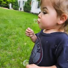 Nancy Messinger (@ekjmess) • Threads, Say more