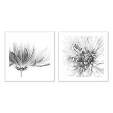 Black And White Flower Framed Wall Art Mums Vii Floral Artwork Floral Wall Art Black And White Wall Art