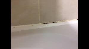 Pour 1/2 cup of baking soda in the drain and follow this with 1/2 cup of vinegar, then cover the drain for about 10 minutes to confine the foam to the pipe. How To Remove Mold Mould From Silicone Sealant In Bathroom Shower Youtube