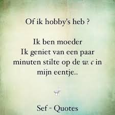 Of Ik Hobbys Heb Ik Ben Moeder Ik Geniet Van Een Paar Minuten Stilte Op De Wc In Mijn Eentje Sefquotes Sef Quotes Quotes Math