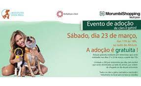 Imagens da situação em que eles se encontravam foram postadas nas. Adocao De Pets No Morumbishopping Em Parceria Com Instituto Luisa Mell Multiplan