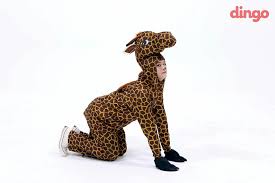 Stray Kids X Dingo Lee Minho Stray Kids Stray Kids Minho Lee Know