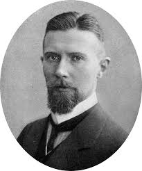 Image result for Mildbraedia carpinifolia