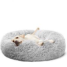 Best memory foam dog bed: Dog Bed Boulster For Large Dogs