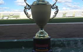 Ah…mas vai ter final do campeonato paraibano sim! Botafogo Pb Recebe Trofeu Pelo Primeiro Turno Do Campeonato Paraibano Wscom