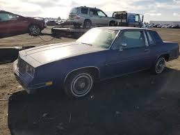 Image result for Light Blue 1984 UMM