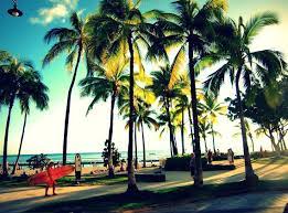 slow life 旅とネコとアロハな日々 美しい風景 ハワイ 画像 風景