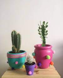 Cacti are succulents, but not all succulents are cacti. Dejah Phillips Dejahphillips Profile Pinterest