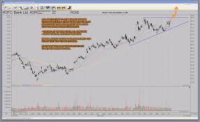 how to profit from indias bull market hdb hdfc bank