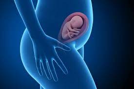 26 Ssw Korperliche Beschwerden Und Viel Freude