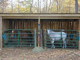 Diy Easy Horse Shelter Horse Shelter Miniature Horse Barn Diy Horse Barn