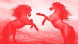 .dort bieten sich läufige stuten deckhengsten an, ohne aber diese zu gesicht zu bekommen. Mozilla Foundation Youtube Regrets