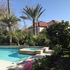 Operated by 4th generation farmers, verdant view farm brings to life the animals, stories, and the work of a small family farm. Verdant Tree Farm Landscape Verdantpalms Twitter