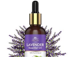 Lavender oil