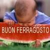 Information and translations of ferragosto in the most comprehensive dictionary definitions resource on the web. 3