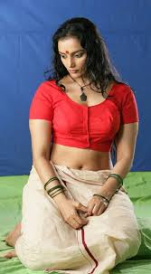 Swetha menon, cute, bolliwood, model, film, hot, menon, swetha, HD  wallpaper | Peakpx