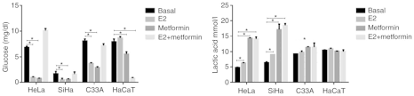 Recessed lighting installation necrosis vs apoptosis mcat registration. 17b Estradiol Induced Mitochondrial Dysfunction And Warburg Effect In Cervical Cancer Cells Allow Cell Survival Under Metabolic Stress