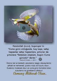 Arif Arslan Arslan Dr Twitter Hayvan Vahsi Hayvanlar Hayvanlar