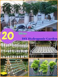 diy hydroponic garden