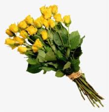 Woman with huge bouquet of flowers outdoors. Bouquet Png Images Transparent Bouquet Image Download Pngitem