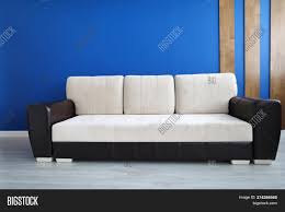 Comfy sofa 1 dude 0 lewd natural habitat, released 29 december 2017 1. Close Comfy Sofa Image Photo Free Trial Bigstock
