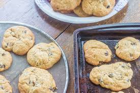 March 26, 2017 by gretchen 8 comments. Irish Raisin Cookies R Ed Cipe The Best Oatmeal Cookie Recipe Cato Included A Recipe For Placenta In His De Agri Cultura 160 Bc