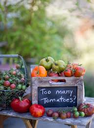 Summertime Tomates Farcies Jardin De Legumes Tomates