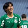 Palmeiras Sub-17 Crushes Rio Branco as ISRN Clube Esperia Secures Amputee Football Copa do Brasil Double