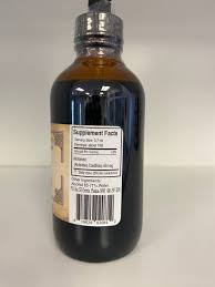 Image result for Alchornea hirtella