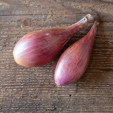 Image result for shallots