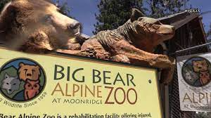 Big Bear Alpine Zoo At Moonridge Big Bear Zoo Bear