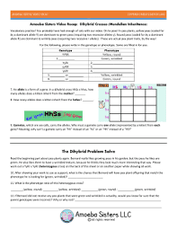 A guinea pig test cross. Amoeba Sisters Video Recap Monohybrid Crosses Mendelian Inheritance Answer Key Fill Online Printable Fillable Blank Pdffiller