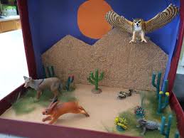 Desert Biome In A Box Desert Biome Project Habitats Projects Biomes Project Ecosystems Projects
