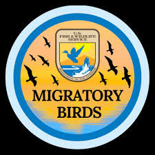 Image result for Federal Yellow 1989 US Paint