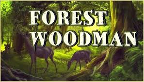 Your email address will not be published. Forest Woodman Free Download Igggames