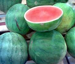 Kalau dipotong dan dikeluarkan dari peti sejuk memang syok dan segar tapi paling mengujakan ada khasiat mencantiikkan kulit. Tembikai Wikipedia Bahasa Melayu Ensiklopedia Bebas