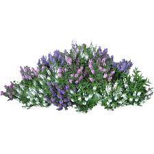Download Png Image Bushes Png Image Photoshop Nature Tree Photoshop Plant Texture
