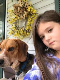 Lost dog found near 16th and Frisco Dr in Lincoln Nebraska