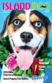Honolulu county animal hospital is a medical facility for animals that provides a comprehensive set of animal medical care services for dogs, cats, household pets and other animals in honolulu county, hi. Island Dog Magazine Spring 2019 By Island Dog Magazine Issuu