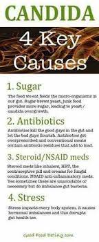 You Need Triplex If Plexus Products Candida Candida Albicans