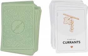 (we'll figure out any extra shipping charges when we send you the survey after the campaign.) Ravine A Crafty And Cooperative Card Game A Mighty Girl