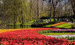 Bij keukenhoff draait het allereerst om jou! Bunte Blumenfelder In Regenbogenfarben Im Niederlandischen Keukenhof Garten Park Hinter Dem Bildtitel Amsterdam Pride 2025 Creative Commons Bilder