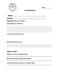 Owl Pellet Dissection Sheet Owl Pellets Scientific Method Science Club