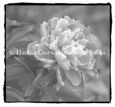 Mother and pony coloring page printable. Downloadable Grayscale Coloring Page Peony Flower From Beautiful Nature