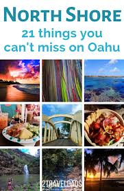 Fish tacos, kalbi short ribs and bbq chicken. Thrilling North Shore Oahu Best Fun Affordable Things To Do