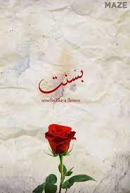 mego flower basant بسنت اسماء بنات اسامي رمزيات تصاميم روعه كشخه رمزيات تصاميم روعه arabic calligraphy design calligraphy design baby names