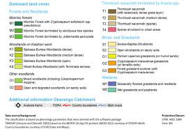 Image result for Cryptosepalum maraviense