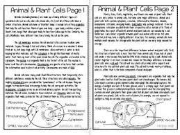 Both animal and plant cells are very similar, as they both are characterized as eukaryotic but they also have many differences. Animal And Plant Cells Organelles Read And Apply Ngss Ms Ls1 2 Cell Organelles Plant Cell Organelles Reading Comprehension