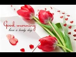 Good Morning Video Message Whatsapp Youtube Good Morning Flowers Good Morning Gif Good Morning Wishes